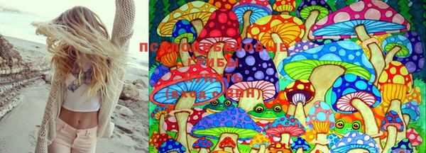 mdma Новокубанск