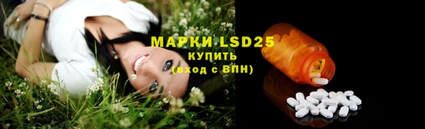 мяу мяу мука Новодвинск