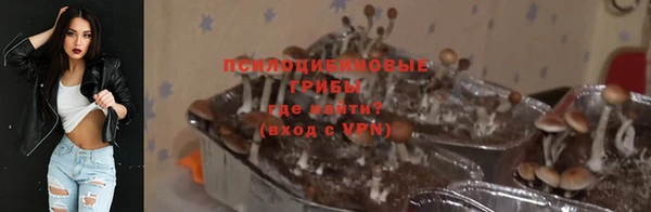 мяу мяу мука Новодвинск