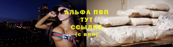 стаф Бикин