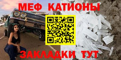 прущие грибы Апшеронск