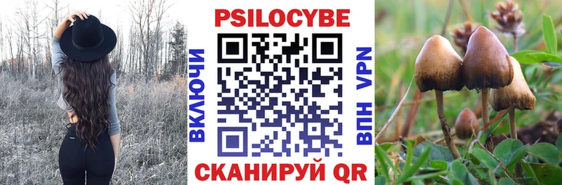 хочу наркоту  KRAKEN вход  Псилоцибиновые грибы прущие грибы  Елец 