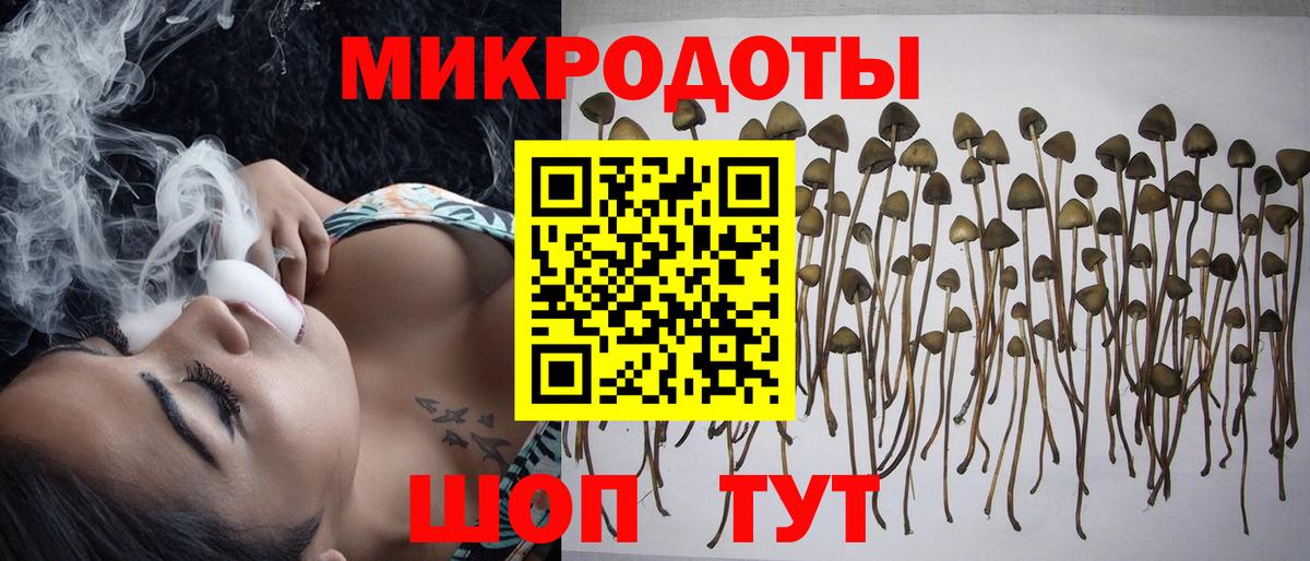 Псилоцибиновые грибы Psilocybine cubensis  Псилоцибиновые грибы Cubensis  Елец  Вход с VPN 