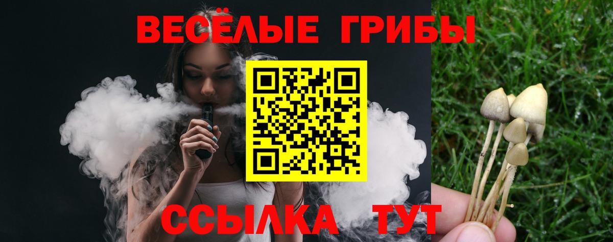 Галлюциногенные грибы ЛСД Елец