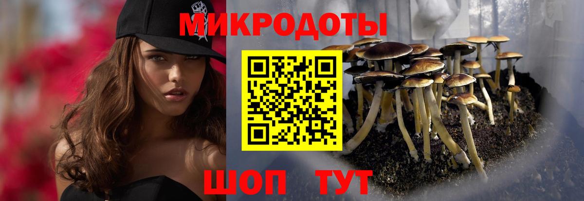 Псилоцибиновые грибы мицелий  магазин продажи наркотиков  Елец 